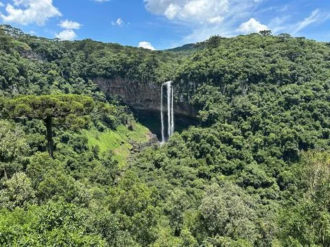Serene waterfall in dense forest Stock Photos