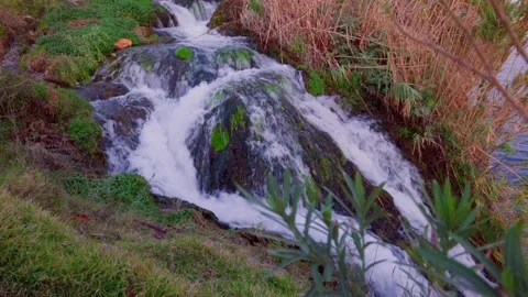 Serene waterfall flowing gently over lush green moss covered rocks Stock Footage 331556901