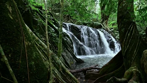 Serene Waterfall Flowing Through Lush Jungle in Saraburi, Thailand Stock Footage 315490616