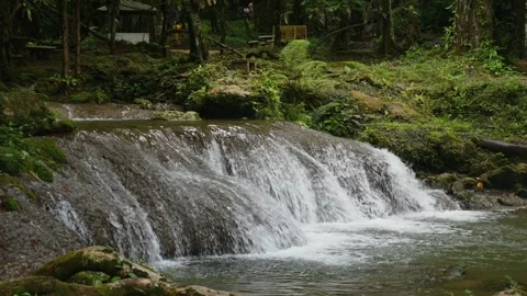 Serene waterfall in lush forest setting. Natural landscape. Stock Footage 259128451