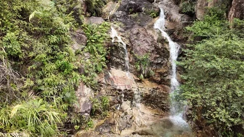 Serene Waterfall in Lush Greenery Stock Footage 288684074