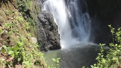Serene Waterfall in Lush Greenery Stock Footage 292808608