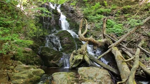 A Serene Waterfall Majestically Surrounded by Lush Greenery and Enchanting Stock Footage 315974327