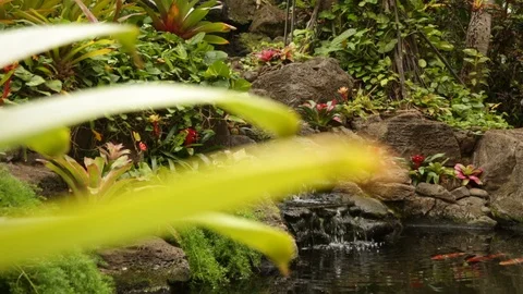 Serene Waterfall Pan Stock Footage 104689405