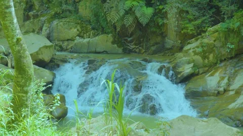 Serene Waterfall: A Peaceful Flow Through Lush Green Surroundings Stock Footage 285039652