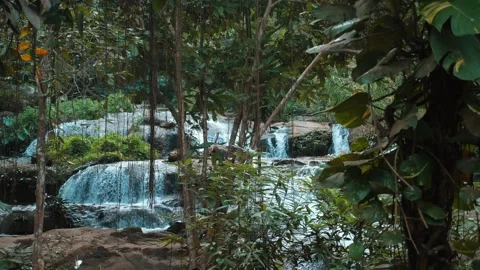 Serene waterfall in pristine wilderness, surrounded by towering trees Stock Footage 251633331