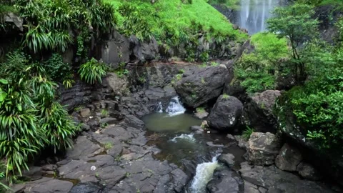 Serene Waterfall in Springbrook Forest Stock Footage 297441248