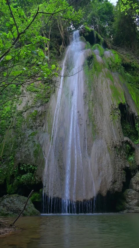 Serene Waterfall Surrounded by Lush Greenery and Natural Beauty Stock Footage 295974905