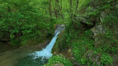 Serene waterfall tumbles through verdant forest. Gostilje, Serbia. Slowmotion Stock Footage 337061572