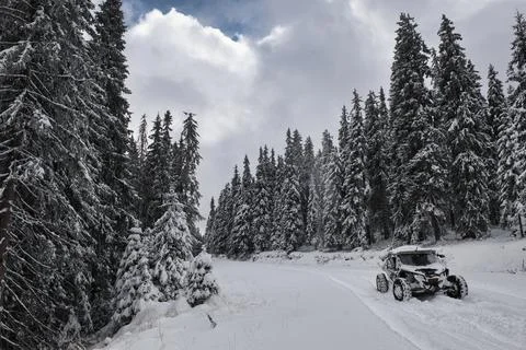 Serene Winter Forest Path with Off-Road Vehicle 写真素材