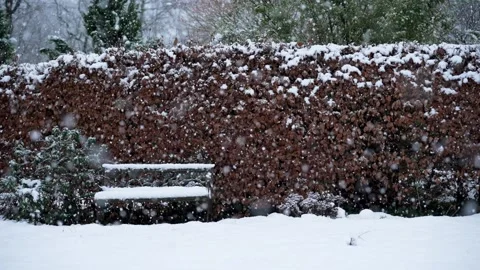 Serene winter garden scene with empty bench and heavy snowfall in slow motion Stock Footage 325808278