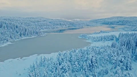 Serene Winter Lake Scene Surrounded By Snowy Forest. Aerial Pullback Shot Stock Footage 329530976