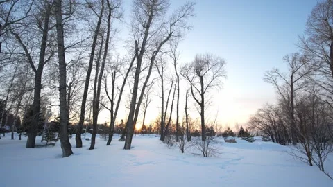 A serene winter landscape is blanketed in deep Stock Footage 328460366
