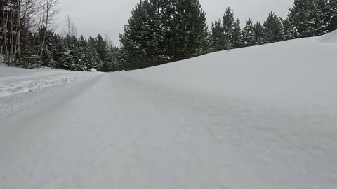 A Serene Winter Landscape Captured in Two Frames: Blanketed Snow and Pine Trees Video stock 346740720