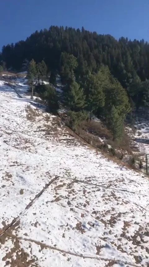 A serene winter landscape with snow covered ground and trees in a video Stock Footage 325687796