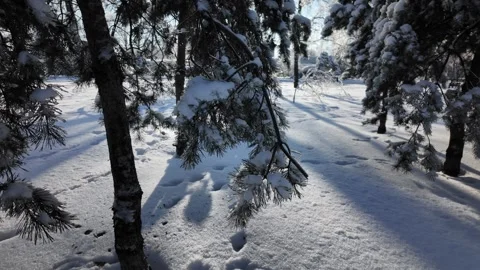 Serene Winter Park Path With Snow Covered Benches And Trees Video stock 340631405