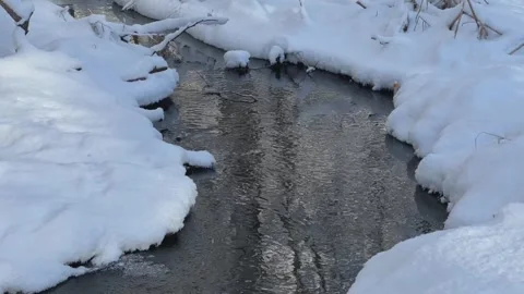 A Serene Winter Stream Flowing Gently Through a Beautifully Snowy and Stock Footage 304731230