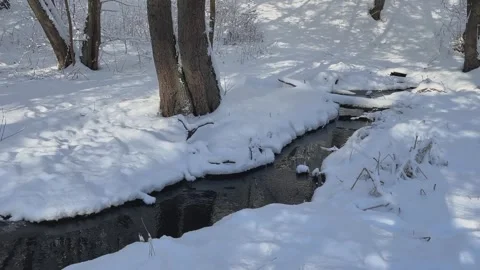 A Serene Winter Stream Flowing Gently, Artisanally Surrounded by Lush 库存影片 326622901