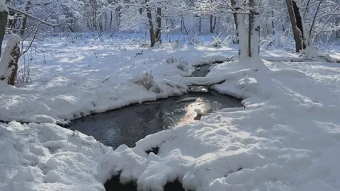 A Serene Winter Stream Flowing Gracefully Surrounded by a Snowy, Idyllic Stock Footage 304731183