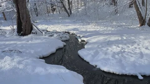 A Serene Winter Stream Flowing Peacefully Through a SnowCovered Scenic Landscape Stock Footage 312439583