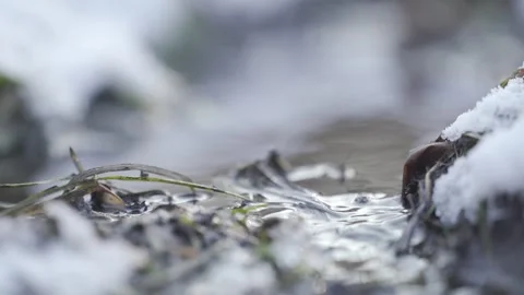 Serene Winter Stream Flowing Through Snowy Grass Landscape | HLG Stock Footage 302450839