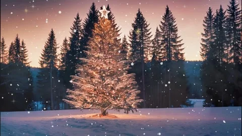 Serene wintry woods with a festive touch bringing joy and wonder Video stock 258844565