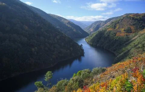 Serenely winds the river Sil between forests and vineyards Stock Photos