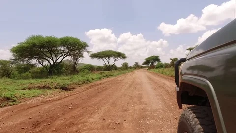 Serengeti National Park - Tanzania - Safari Tour Stock Footage