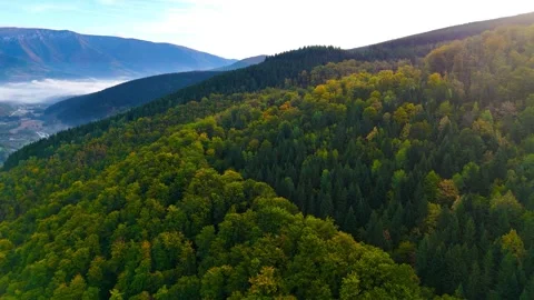 Serenity from Above Stock Footage 306031045