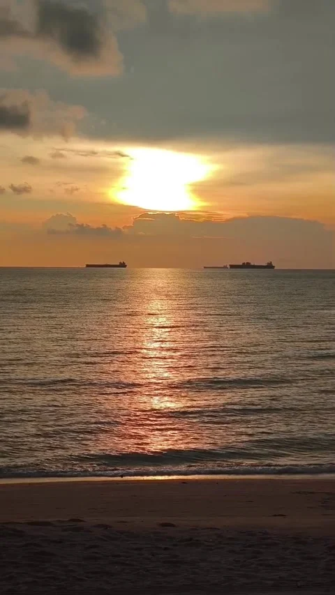Serenity and Freedom at Sunset Beach Video stock 342324405