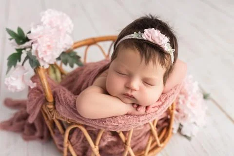 Serenity in Bloom Stock-Fotos