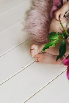 Serenity in Bloom Stock Photos