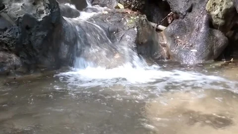 The Serenity of the Cascading Stream Vidéo 333122590