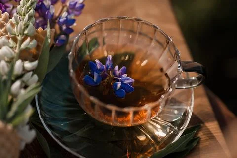 Serenity in a Cup Foto stock