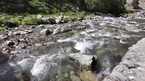 Serenity Flowing Mountain River Through Rocky Showers, Grazing Cows, Lush Co Stock Footage 288466283