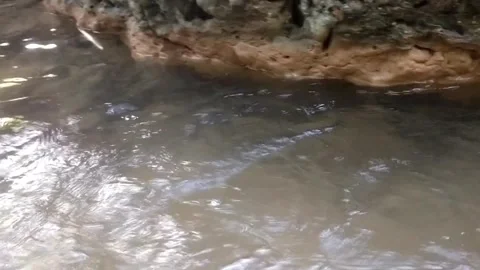 The Serenity of Flowing Water 库存影片 333157386