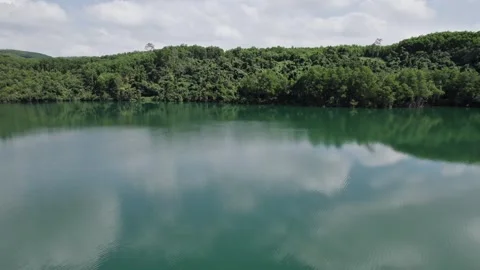 Serenity Forest Lake Reflections in Greenery Stock Footage 263514854