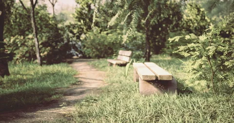Serenity found along a winding path in a lush garden paradise Stock Footage 318973042