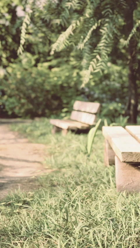 Serenity found along a winding path in a lush garden paradise 스톡 동영상 324497999