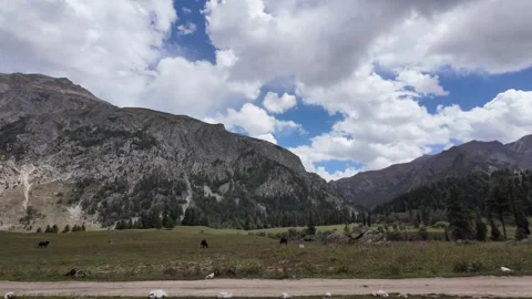 Serenity Found Idyllic 4K Valley Scene with Happy Yolks Grazing, Majestic Mo Stock Footage 288001437