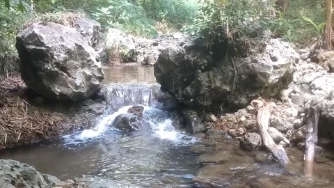 The Serenity of a Hidden Stream Stock Footage 334590379