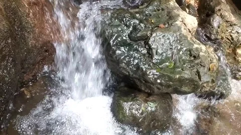 The Serenity of a Hidden Waterfall Vídeos de archivo 332469932