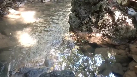 The Serenity of a Hidden Waterfall 库存影片 333151042