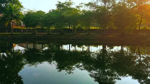 Serenity on the Jogging Trail Stock Footage 316276484