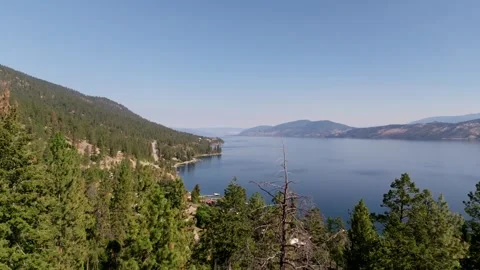 Serenity at Lakeside: Panoramic View of Pristine Lake and Pines Video stock 258166045