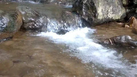 Serenity of a Mountain Stream Stock Footage 332156092