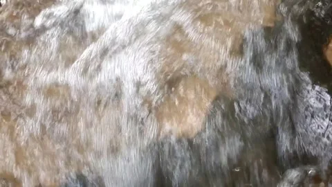 The Serenity of a Mountain Stream Vídeo Stock 332156467