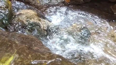 The Serenity of a Mountain Stream Видео 332916446