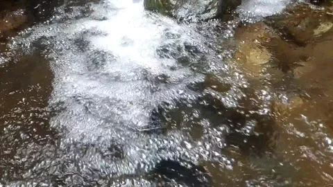 The Serenity of a Mountain Stream Stock Footage 332917584