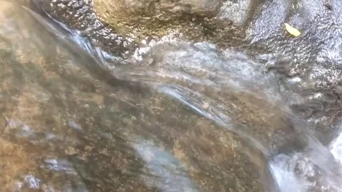 The Serenity of a Mountain Stream 库存影片 333151114